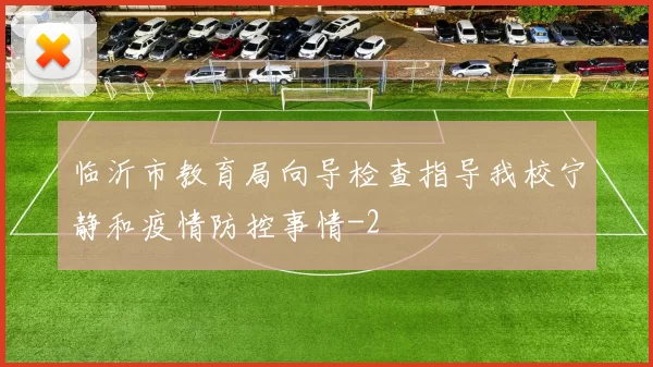 临沂市教育局向导检查指导我校宁静和疫情防控事情