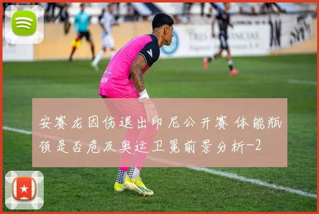安赛龙因伤退出印尼公开赛 体能瓶颈是否危及奥运卫冕前景分析