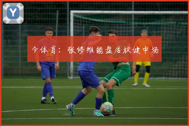 今体育：张修维能盘活权健中场